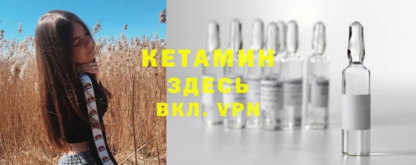 гашик Сосновый Бор